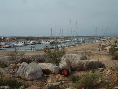 DSCF0137.JPG